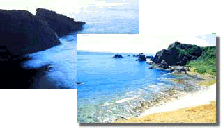 coast.gif (28096 bytes)